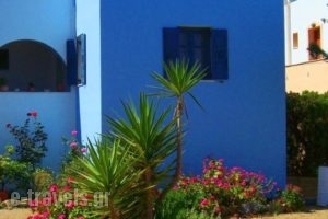 View To The Blue_lowest prices_in_Hotel_Cyclades Islands_Naxos_Agia Anna