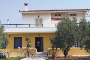 Apartment Candia-Nafplion - 02_accommodation_in_Apartment_Peloponesse_Argolida_Nafplio